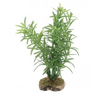 Cespuglio 10x8x12 cm