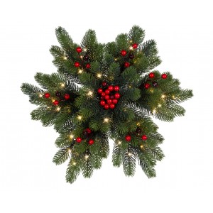 Fuoriporta rami verdi e...