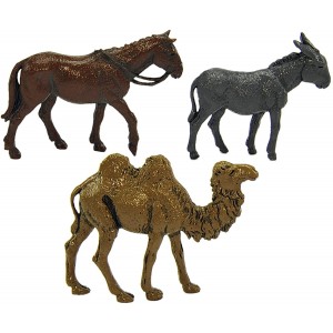 Cammello,cavallo e asino...