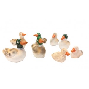 Anatre set 8 pz H 3 cm Resina 2