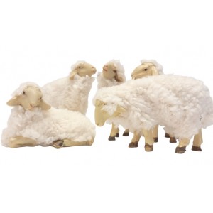 Pecora con Lana  set 5 pz H... 2