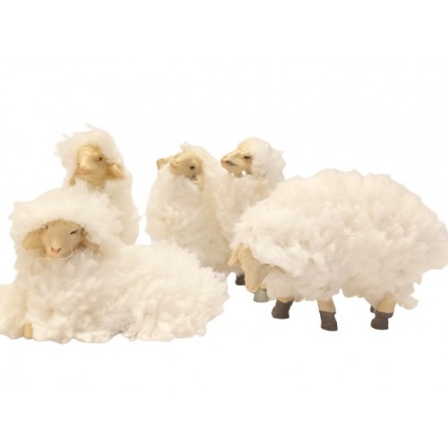 Pecora con Lana  set 5 pz H 5,5 cm...