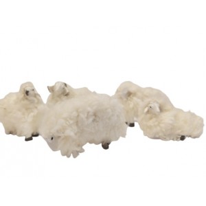 Pecora con Lana  set 5 pz H... 2