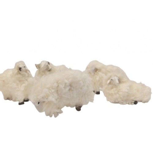 Pecora con Lana  set 5 pz H 4 cm Resina