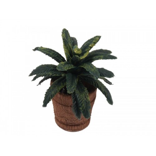 Vaso con pianta 4X4X5 cm