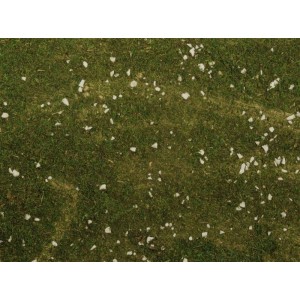 Carta muschio con pietre...