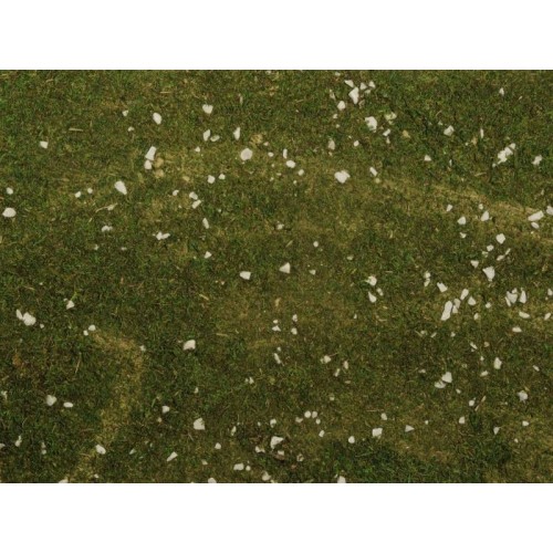 Carta muschio con pietre 100x70 cm