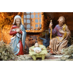 Capanna in legno e sughero... 2