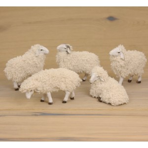 Pecora con Lana  set 5 pz H...