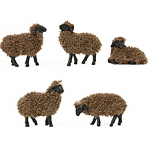 Pecora nera con Lana  set 5...