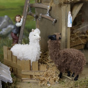 Alpaca con Lana  set 2 pz H... 2