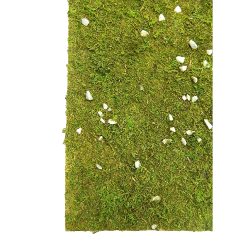 Carta prato tipo erbetta con...