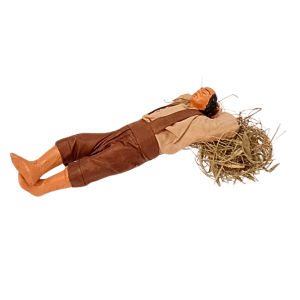 Dormiente su fieno cm 13...